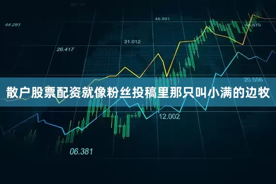 散户股票配资就像粉丝投稿里那只叫小满的边牧