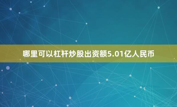 哪里可以杠杆炒股出资额5.01亿人民币